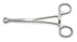 BabcockTissue Forceps 20cm