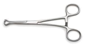 BabcockTissue Forceps 20cm