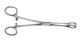Swab Holding Forceps 18cm